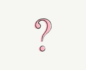 What is a school MIS?