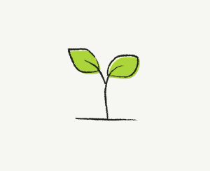 Change management